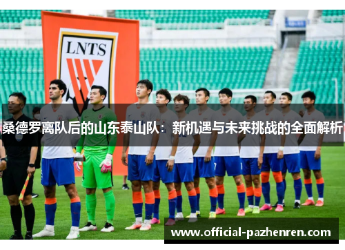 桑德罗离队后的山东泰山队：新机遇与未来挑战的全面解析
