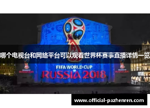 哪个电视台和网络平台可以观看世界杯赛事直播详情一览