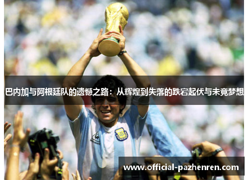 巴内加与阿根廷队的遗憾之路：从辉煌到失落的跌宕起伏与未竟梦想