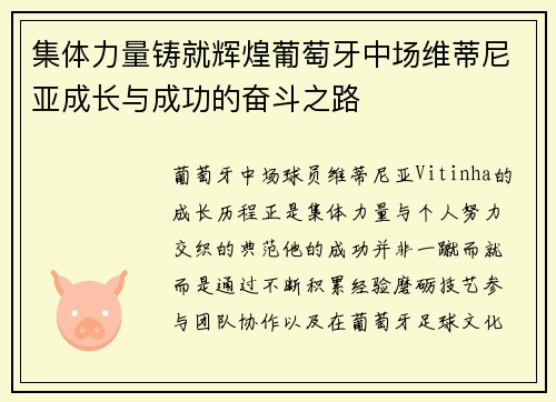 集体力量铸就辉煌葡萄牙中场维蒂尼亚成长与成功的奋斗之路 集体力量铸就辉煌葡萄牙中场维蒂尼亚成长与成功的奋斗之路